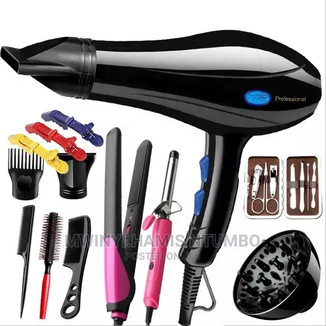 Professional Hair Dryer