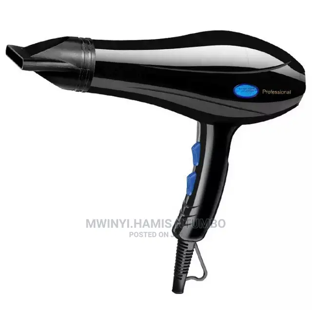 Professional Hair Dryer