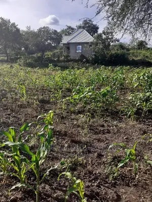 Viwanja Bora 20 Kwa 20 Kutoka Real Kambele Kuanzia 1.6M