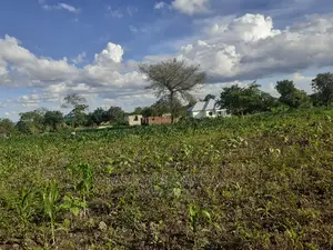 Viwanja Bora 20 Kwa 20 Bei Kuanzia Karibuni Sanaa