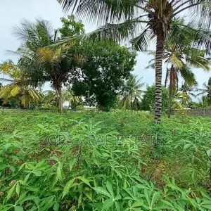 75mil ( Plot for Sale Ungindoni Dsm )