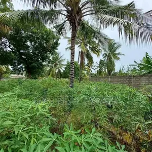 75mil ( Plot for Sale Ungindoni Dsm )