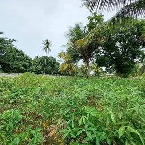 75mil ( Plot for Sale Ungindoni Dsm )