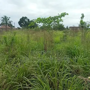 7mil ( Plot for Sale ) .