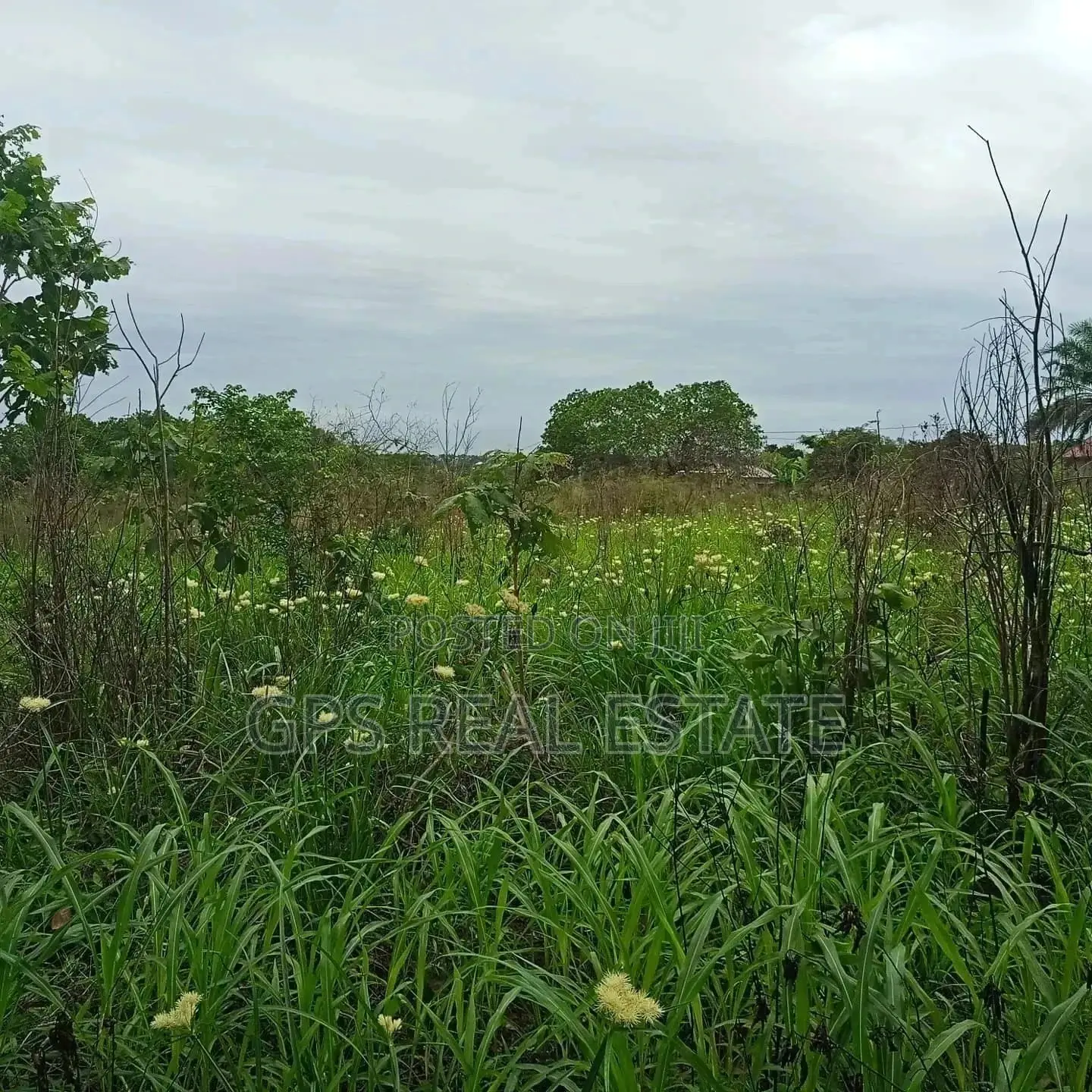 7mil ( Plot for Sale ) .