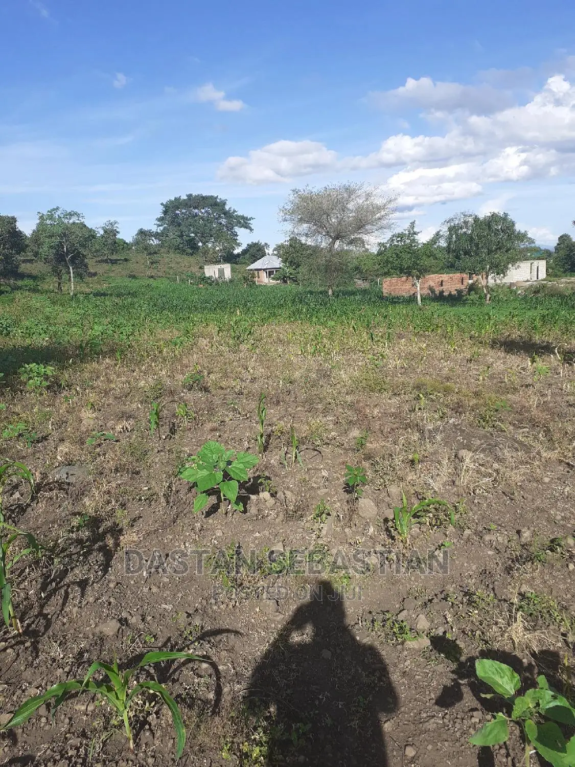 Viwanja Vya Makazi 20 Kwa 20 Bei Kuanzia 1.6M