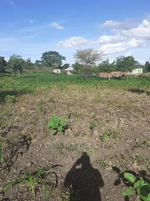 Viwanja Vya Makazi 20 Kwa 20 Bei Kuanzia 1.6M