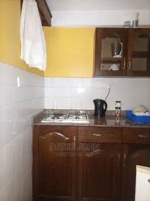 Furnished 1bdrm House in Mikocheni for rent