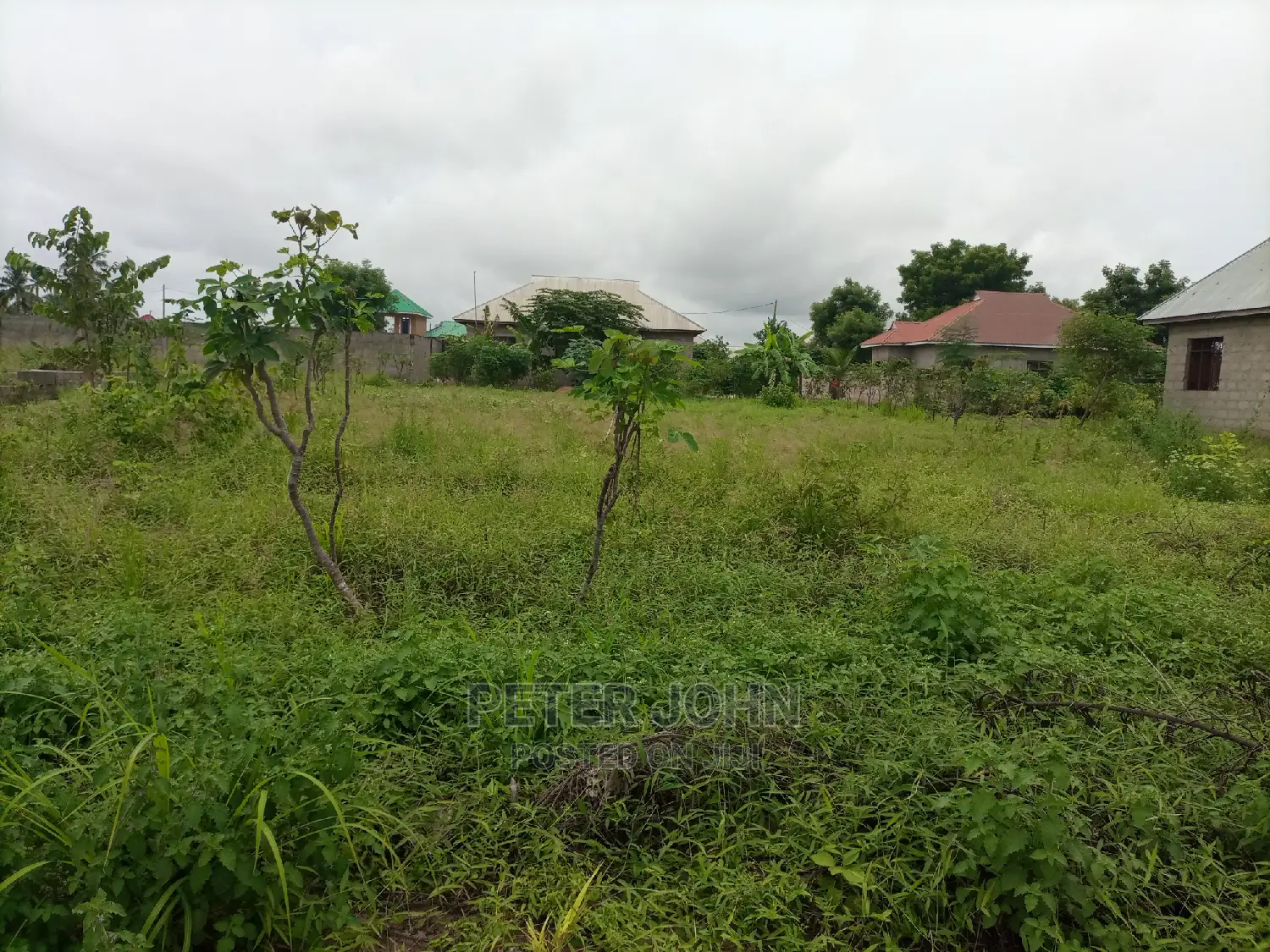 Kiwanja Kinauzwa