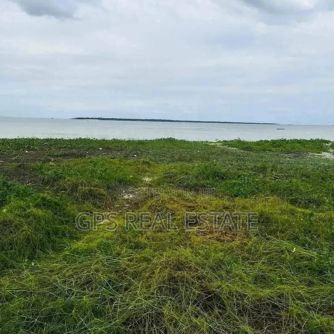 1.5bil ( Beach Plot for Sale )