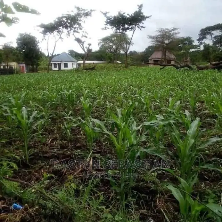 Viwanja Bora Vya Makazi