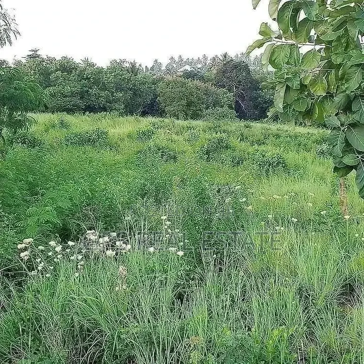 200mil (Land for Sale )