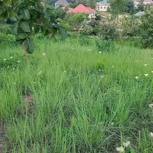 200mil (Land for Sale )