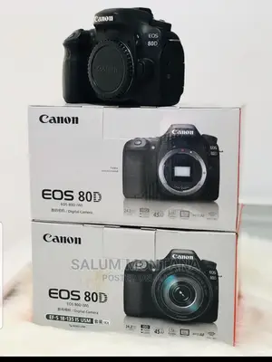 Canon 80D Body