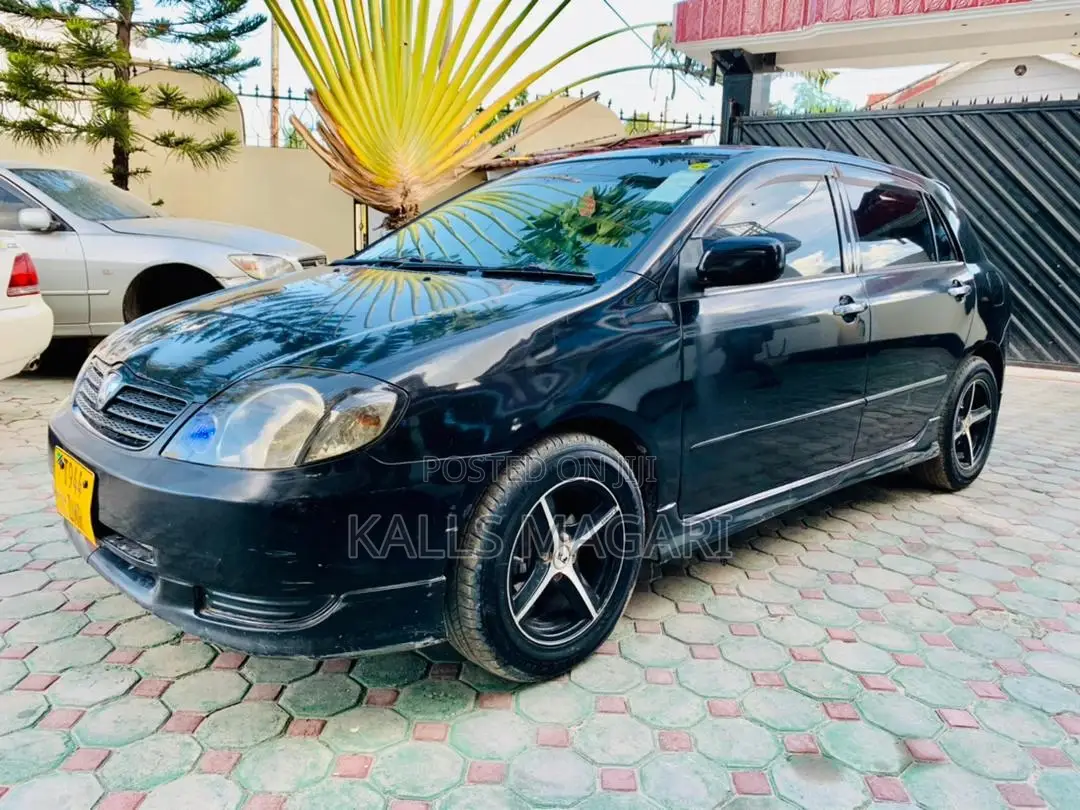 Toyota Allex 2001 Black