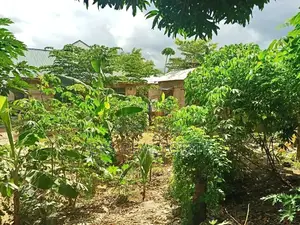 3bdrm House in Evans Mansah, Kinondoni for Sale