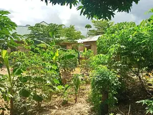 3bdrm House in Evans Mansah, Kinondoni for Sale