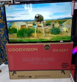Goodvision Smart TV Inch 42