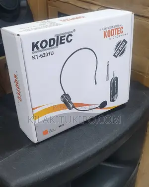 Professional Microphone