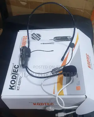 Professional Microphone