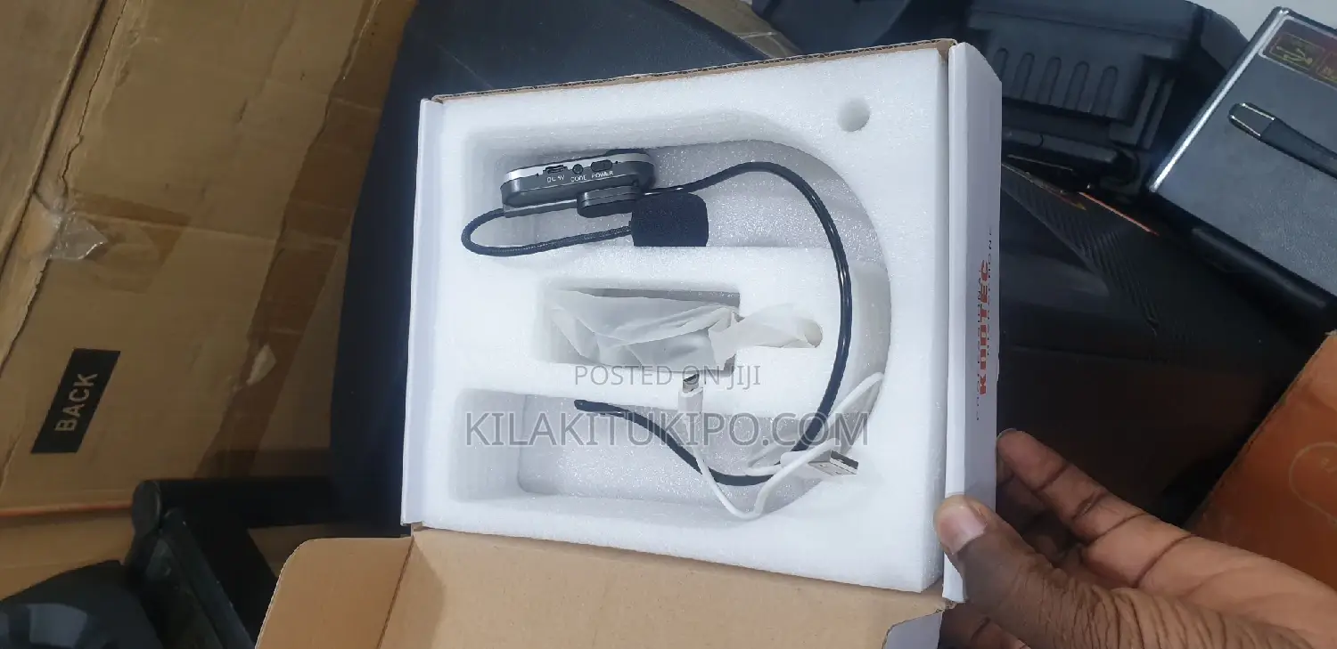 Professional Microphone