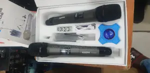 Professional Microphone 2 in 1