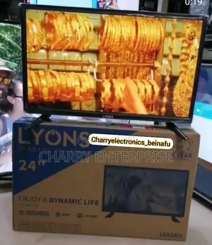 LYONS 24 Inches High Quality Tv