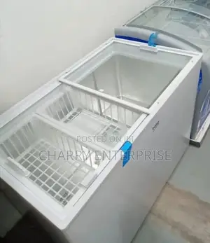 BEKO Showcase Freezer