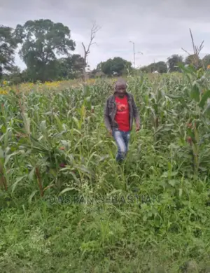 Viwanja Bora Kwa Bei Nafuu