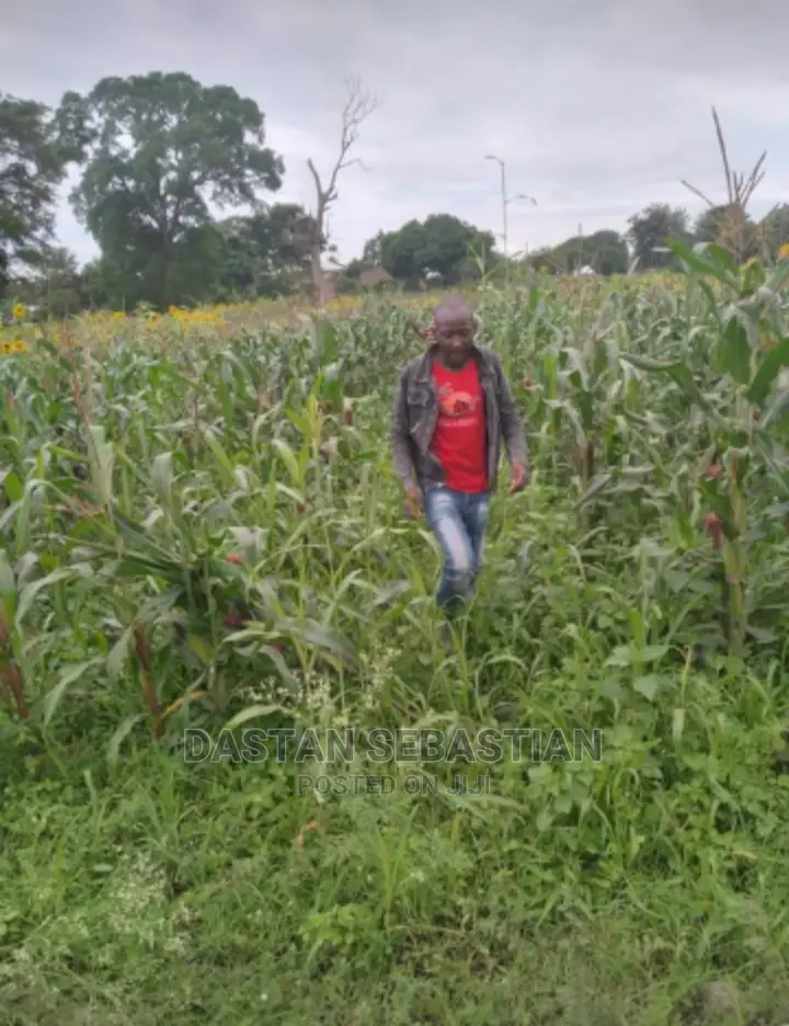 Viwanja Bora Kwa Bei Nafuu