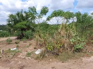 Plot for Sale Sqm2000 at Mbezi Beach