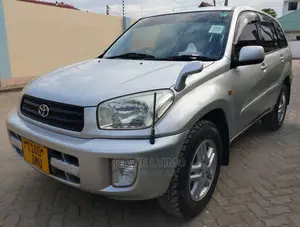 Toyota RAV4 2004 Silver