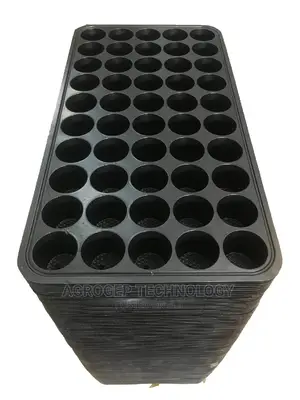Seedlings Tray