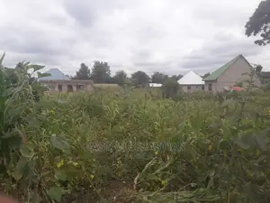Viwanja Arusha Na Moshi