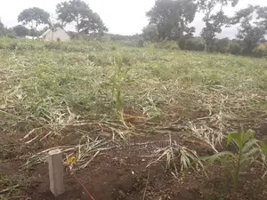 Viwanja Vya Biashara Na Makazi Arusha Na Kilimanjaro