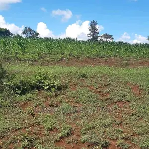 Viwanja Vya Biashara Na Makazi Arusha Na Kilimanjaro