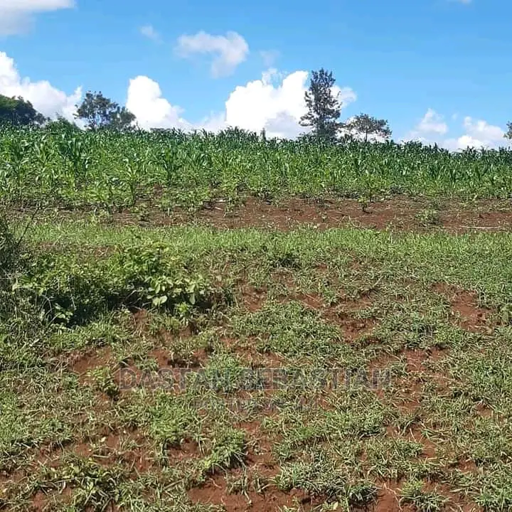 Viwanja Vya Biashara Na Makazi Arusha Na Kilimanjaro