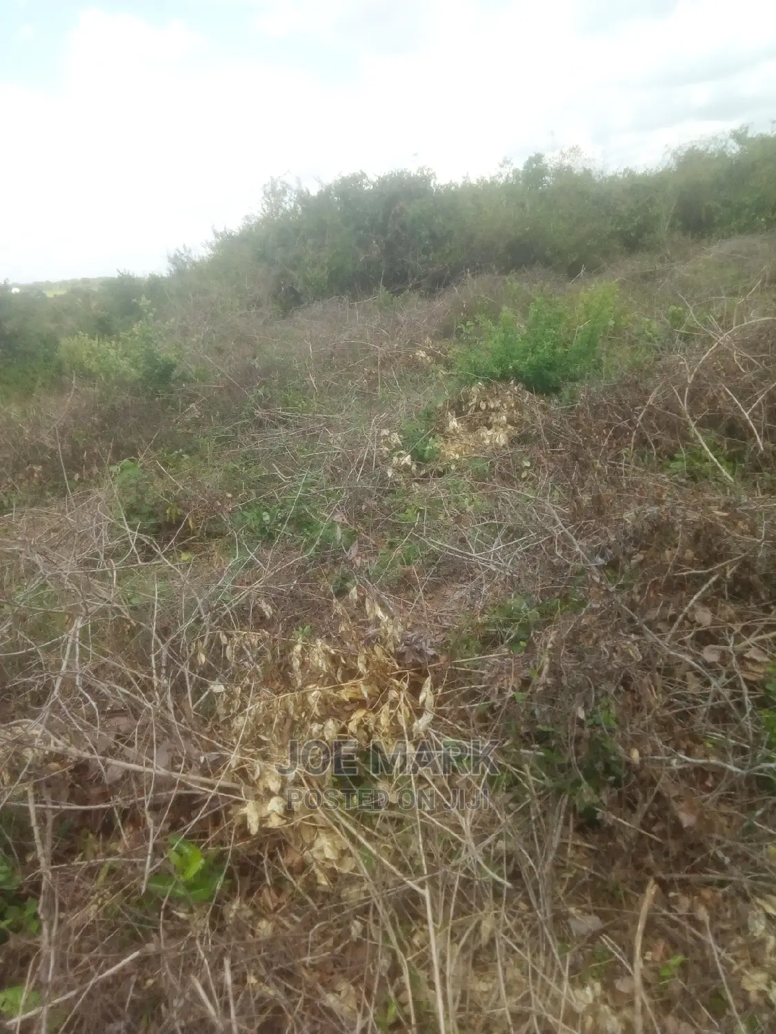 Viwanja Vinauzwa Kibaha