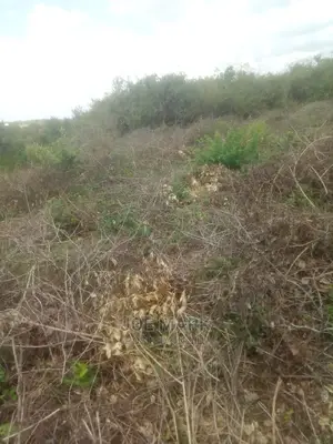 Viwanja Vinauzwa Kibaha