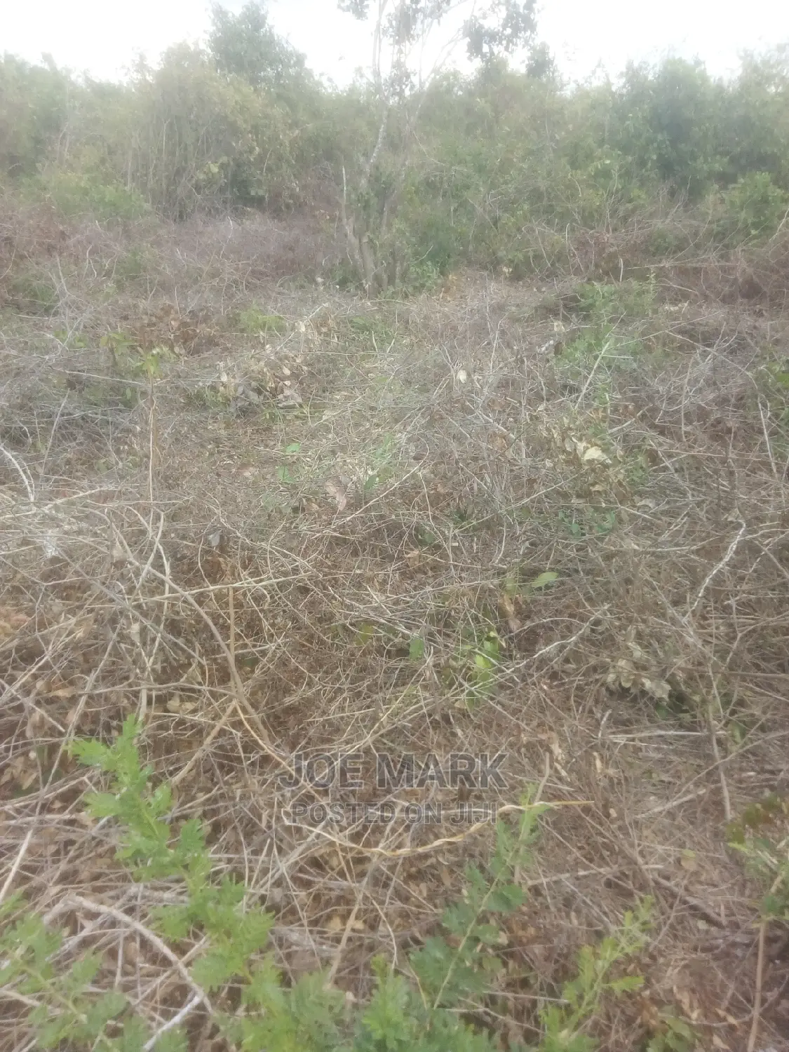 Viwanja Vinauzwa Kibaha