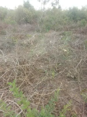 Viwanja Vinauzwa Kibaha