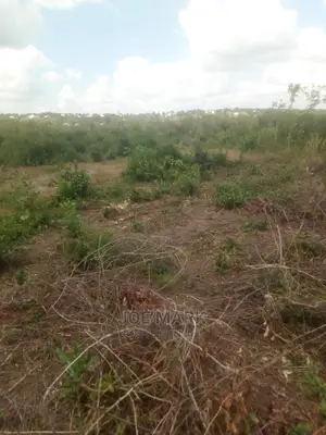 Viwanja Vinauzwa Kibaha