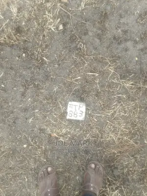 Viwanja Vinauzwa Kibaha