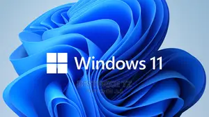 Window 11 Full Installation