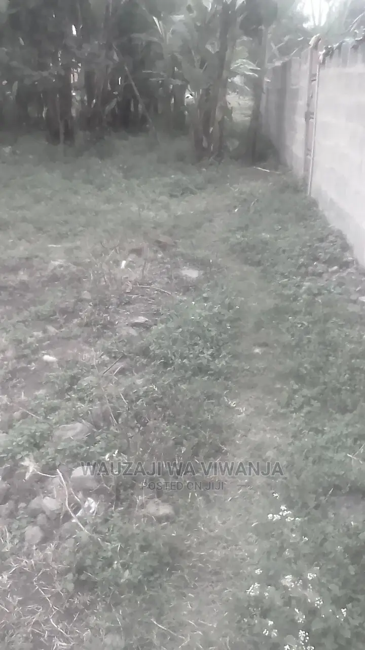 Viwanja Vya Makazi Na Biashara