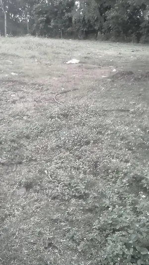 Mradi Mpya Wa Viwanja