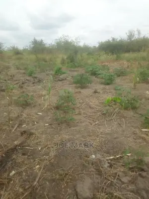 100 Acres for Sale