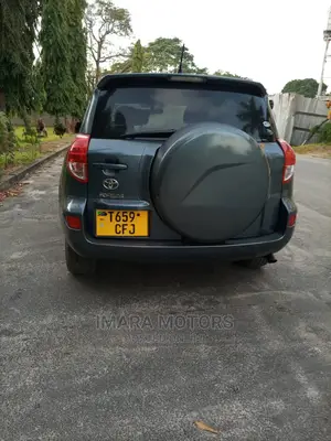 Toyota RAV4 2006 Gray