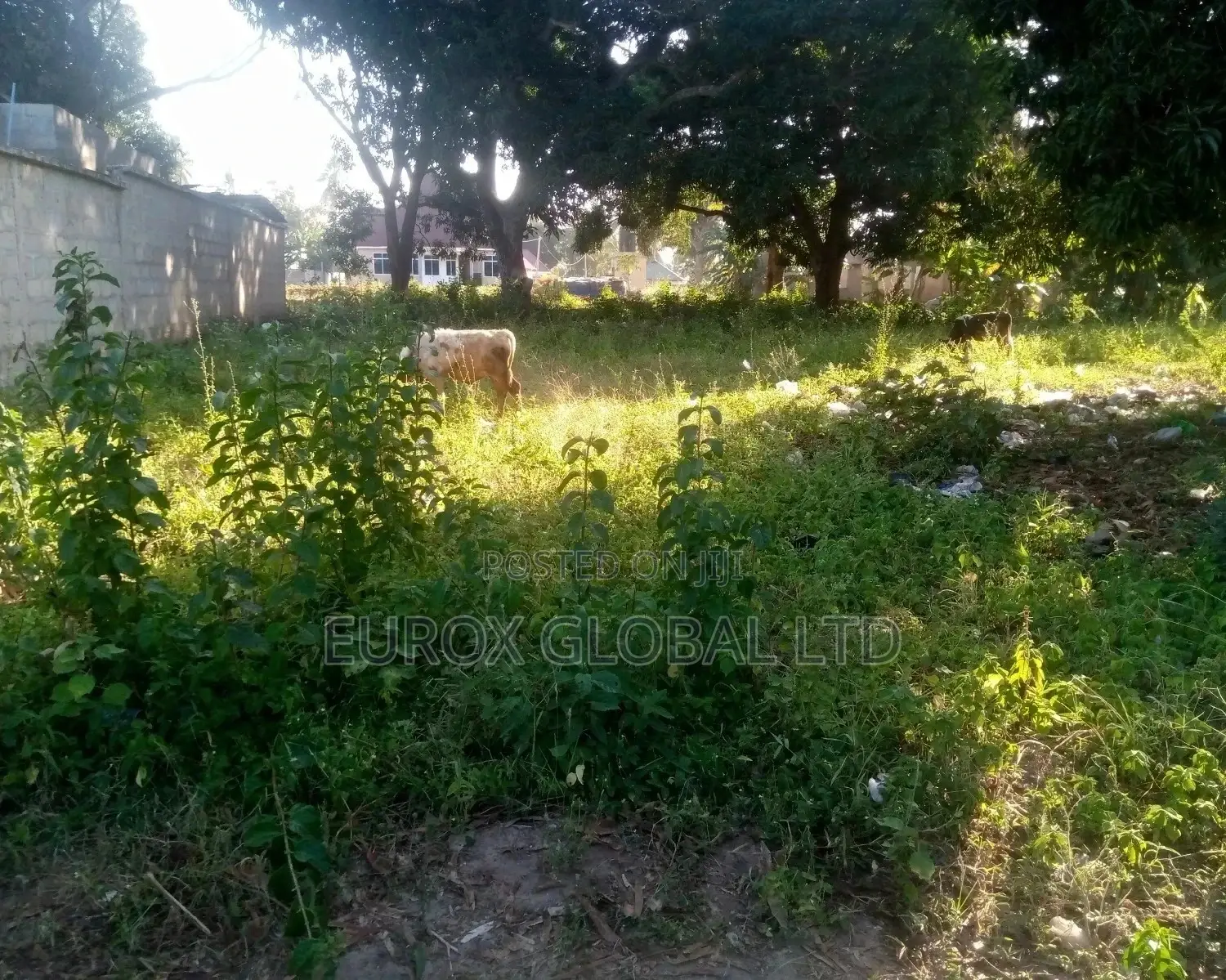 Viwanja Vinauzwa Bei Nafuu Sana,Dege Kigamboni