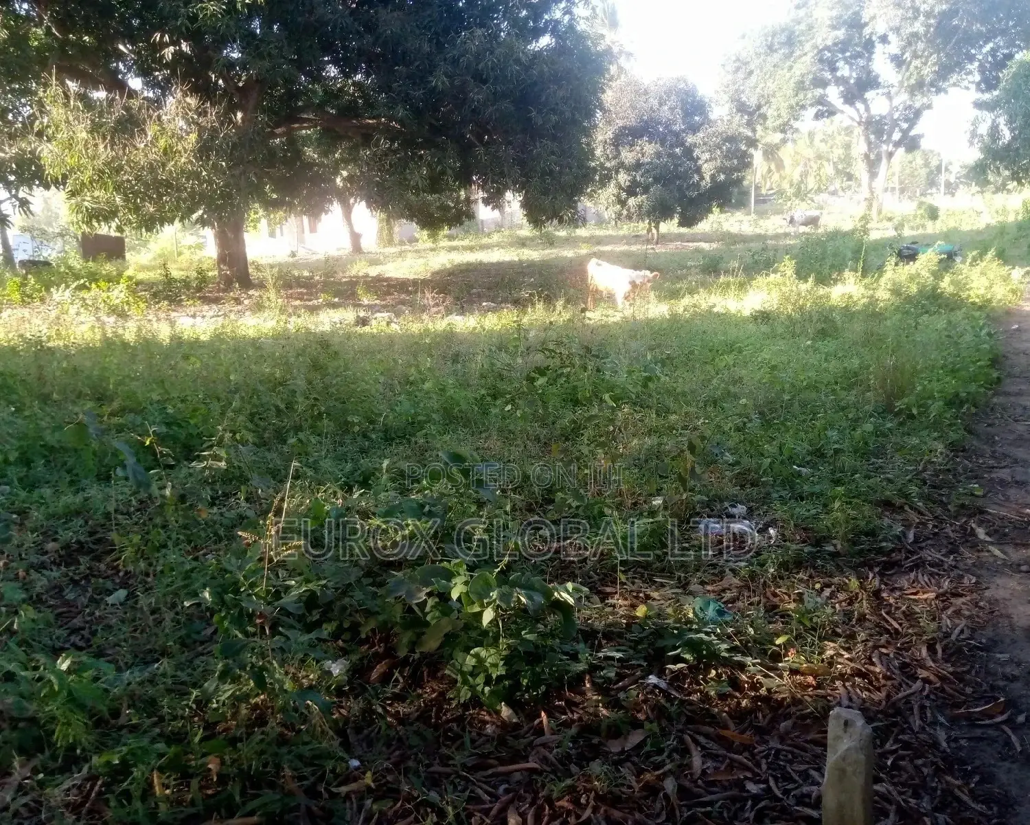 Viwanja Vinauzwa Bei Nafuu Sana,Dege Kigamboni